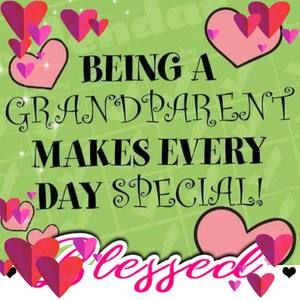 Meet your Posher, Dottie